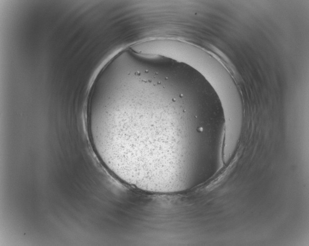 X0000074340812200609230116