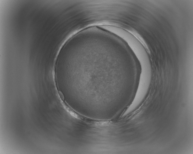 X0000074340813200609230116