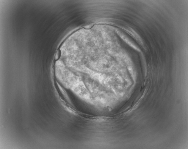 X0000074340814200609230116