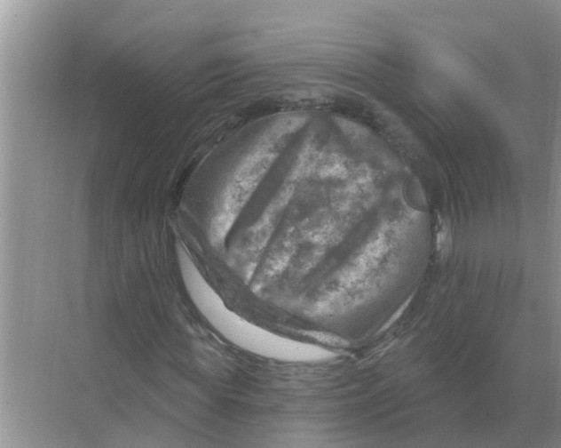 X0000074340819200609230116