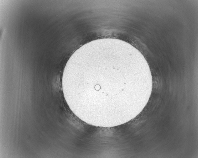 X0000074340820200609230116