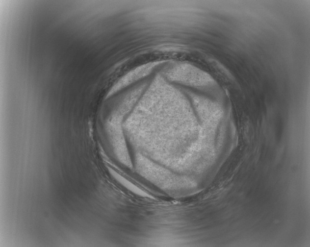 X0000074340821200609230116