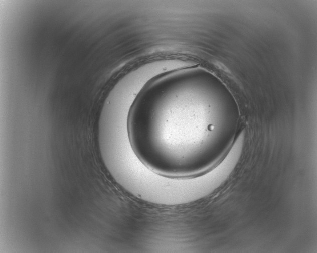 X0000074340822200609230116