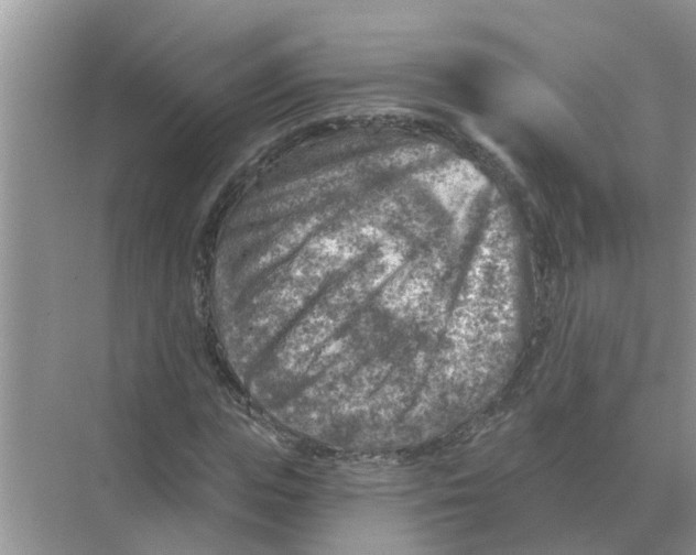 X0000074340823200609230116