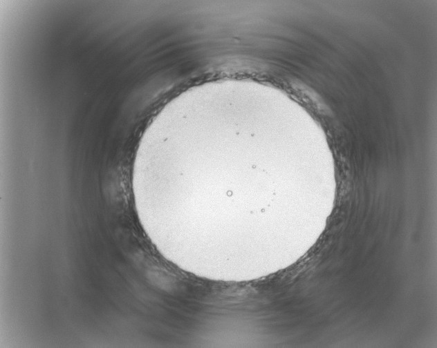 X0000074340824200609230116