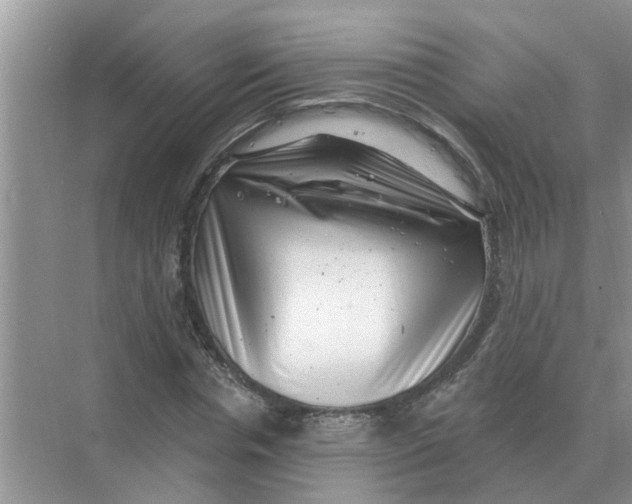 X0000074340826200609230116