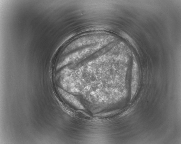 X0000074340827200609230116