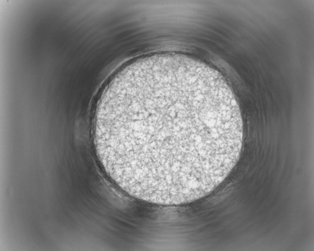 X0000074340828200609230116