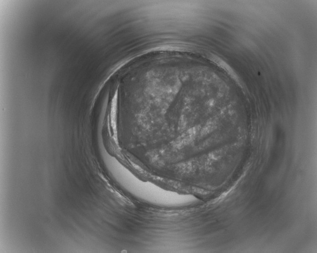 X0000074340829200609230116