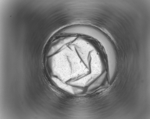 X0000074340830200609230116