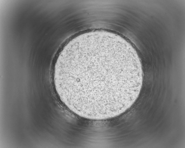 X0000074340832200609230116