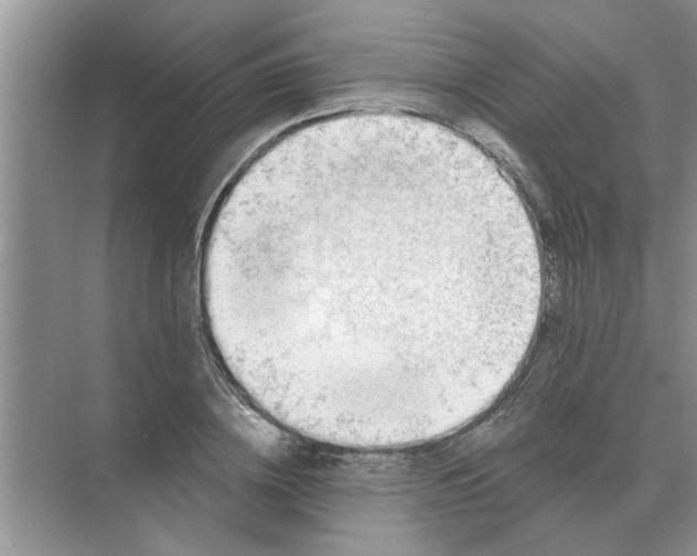 X0000074340836200609230116