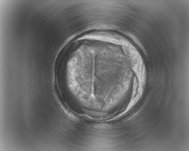 X0000074340837200609230116