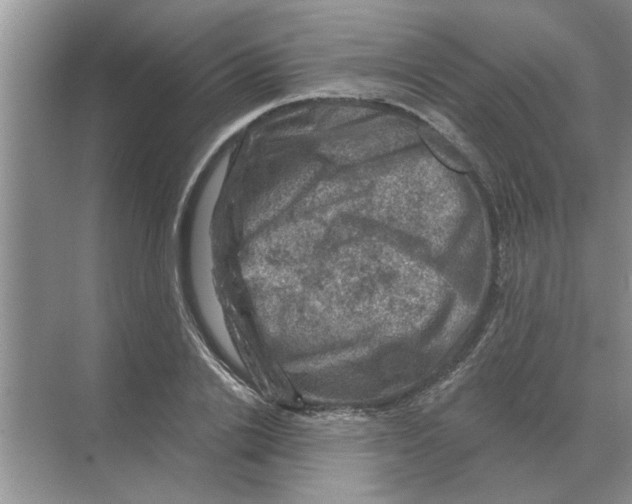 X0000074340838200609230116