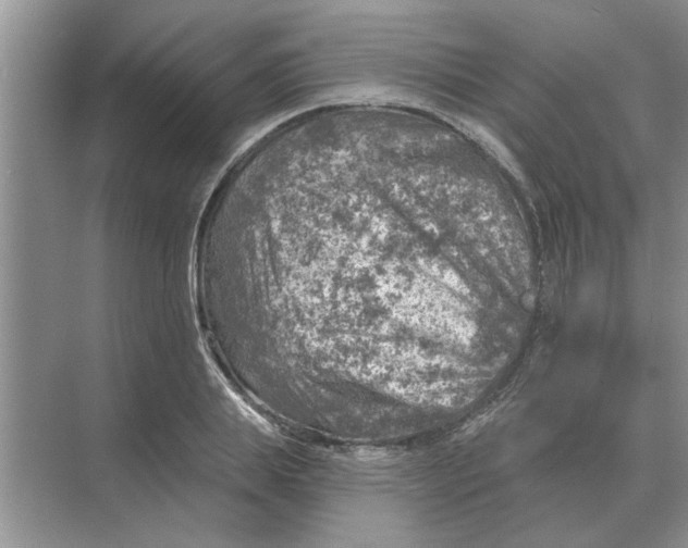 X0000074340839200609230116