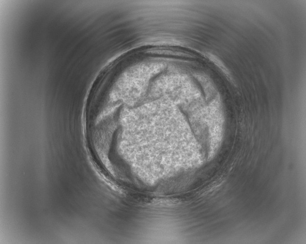 X0000074340840200609230116