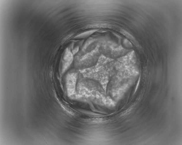 X0000074340841200609230116