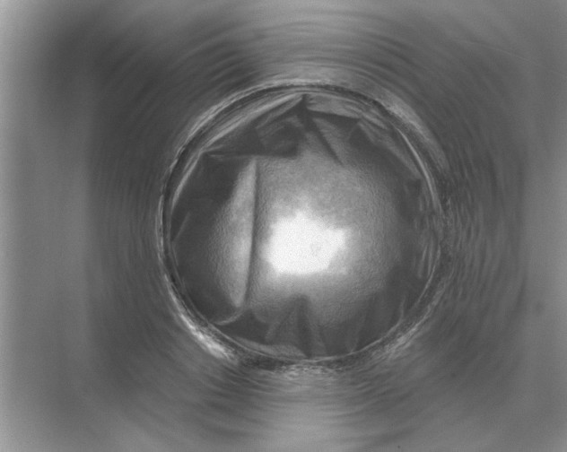 X0000074340842200609230116