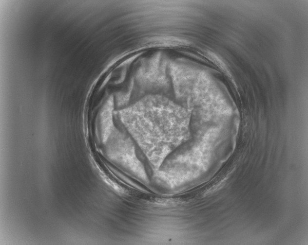 X0000074340843200609230116