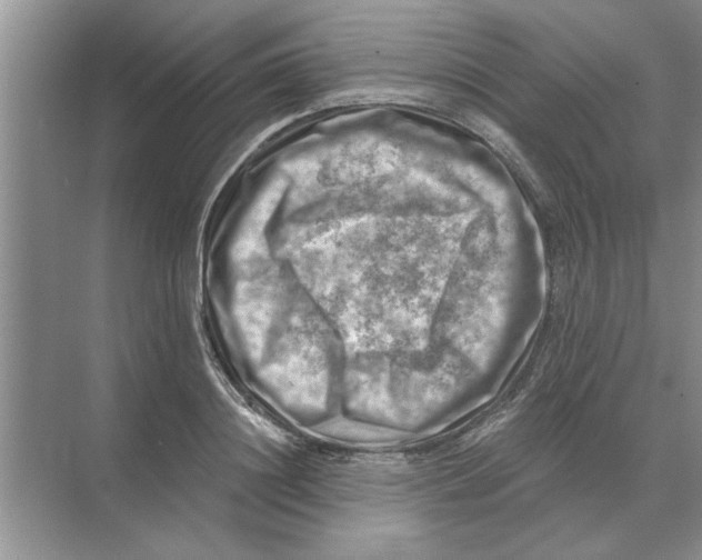 X0000074340844200609230116