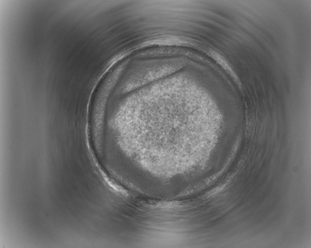 X0000074340845200609230116