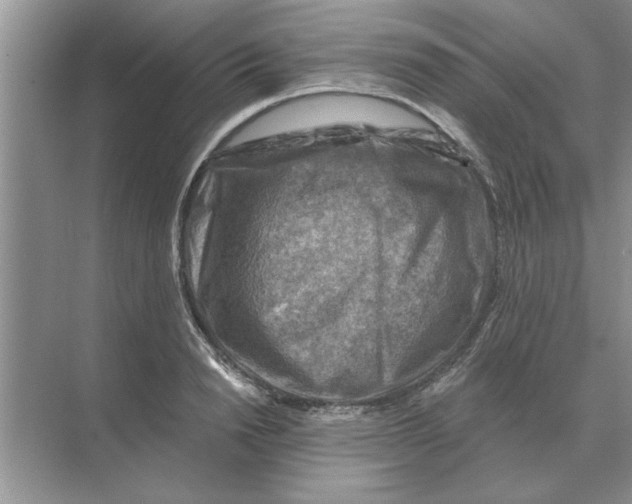 X0000074340846200609230116