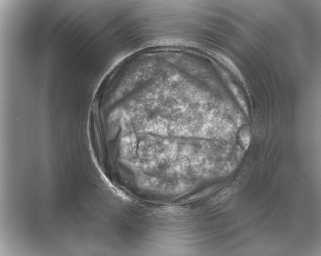 X0000074340847200609230116