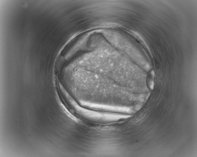 X0000074340851200609230116