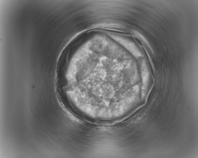 X0000074340852200609230116