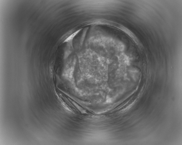 X0000074340857200609230116