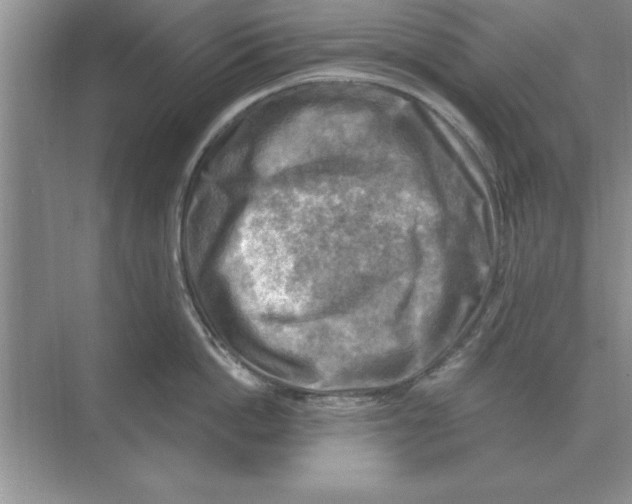 X0000074340862200609230116