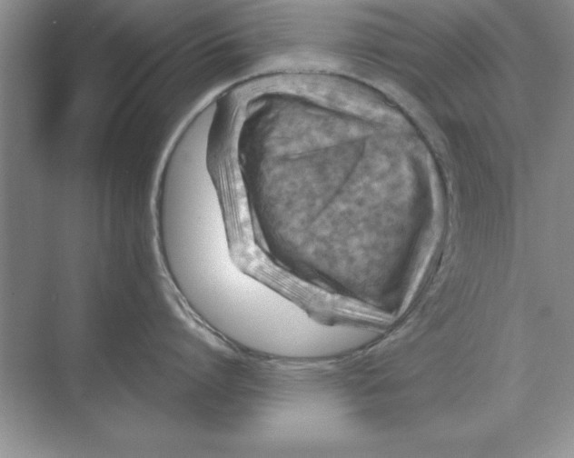 X0000074340864200609230116