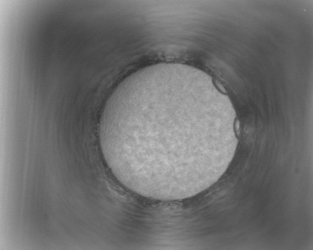 X0000074340865200609230115