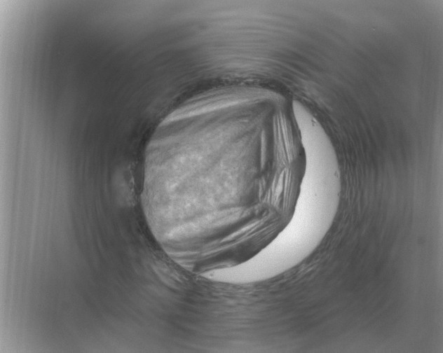 X0000074340868200609230115