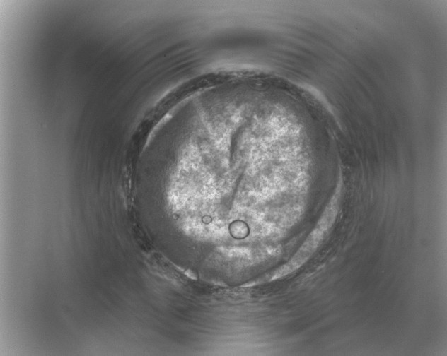 X0000074340871200609230115