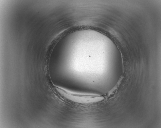 X0000074340872200609230115