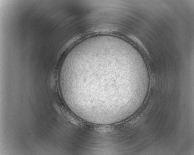 X0000074340874200609230115