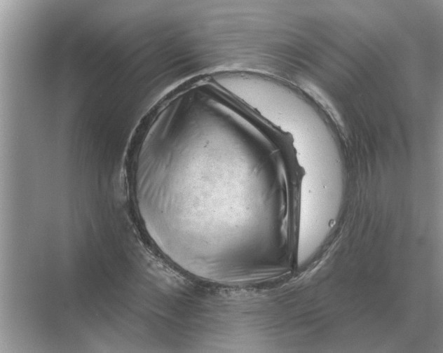 X0000074340876200609230115