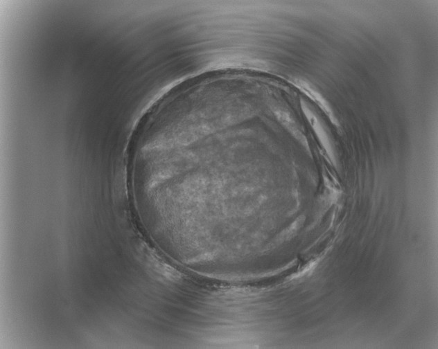 X0000074340877200609230115