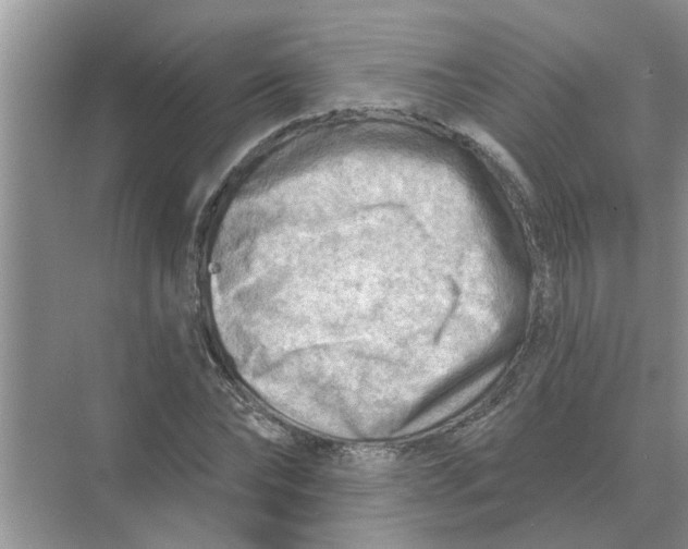 X0000074340878200609230115