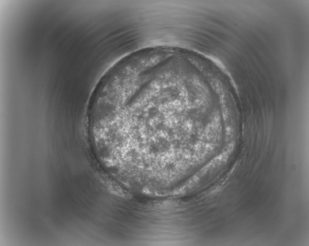 X0000074340879200609230115