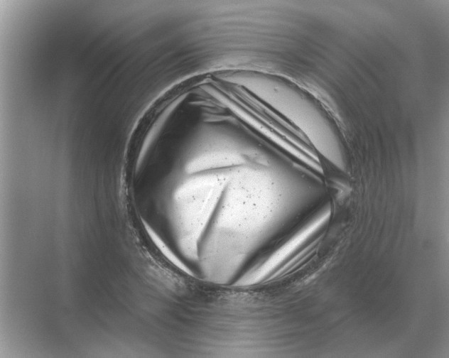 X0000074340880200609230115