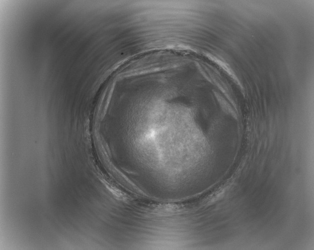 X0000074340881200609230115