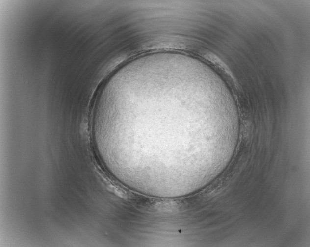 X0000074340882200609230115