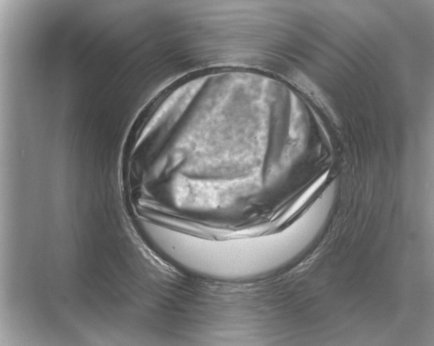 X0000074340884200609230115