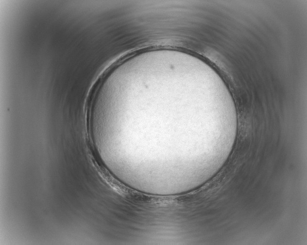 X0000074340886200609230115