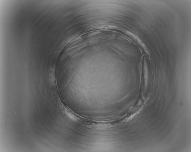 X0000074340889200609230115