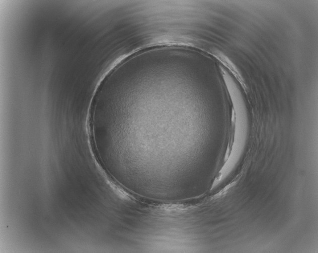 X0000074340893200609230115