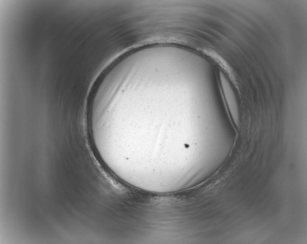 X0000074340894200609230115