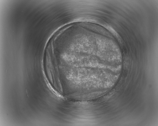 X0000074340896200609230115